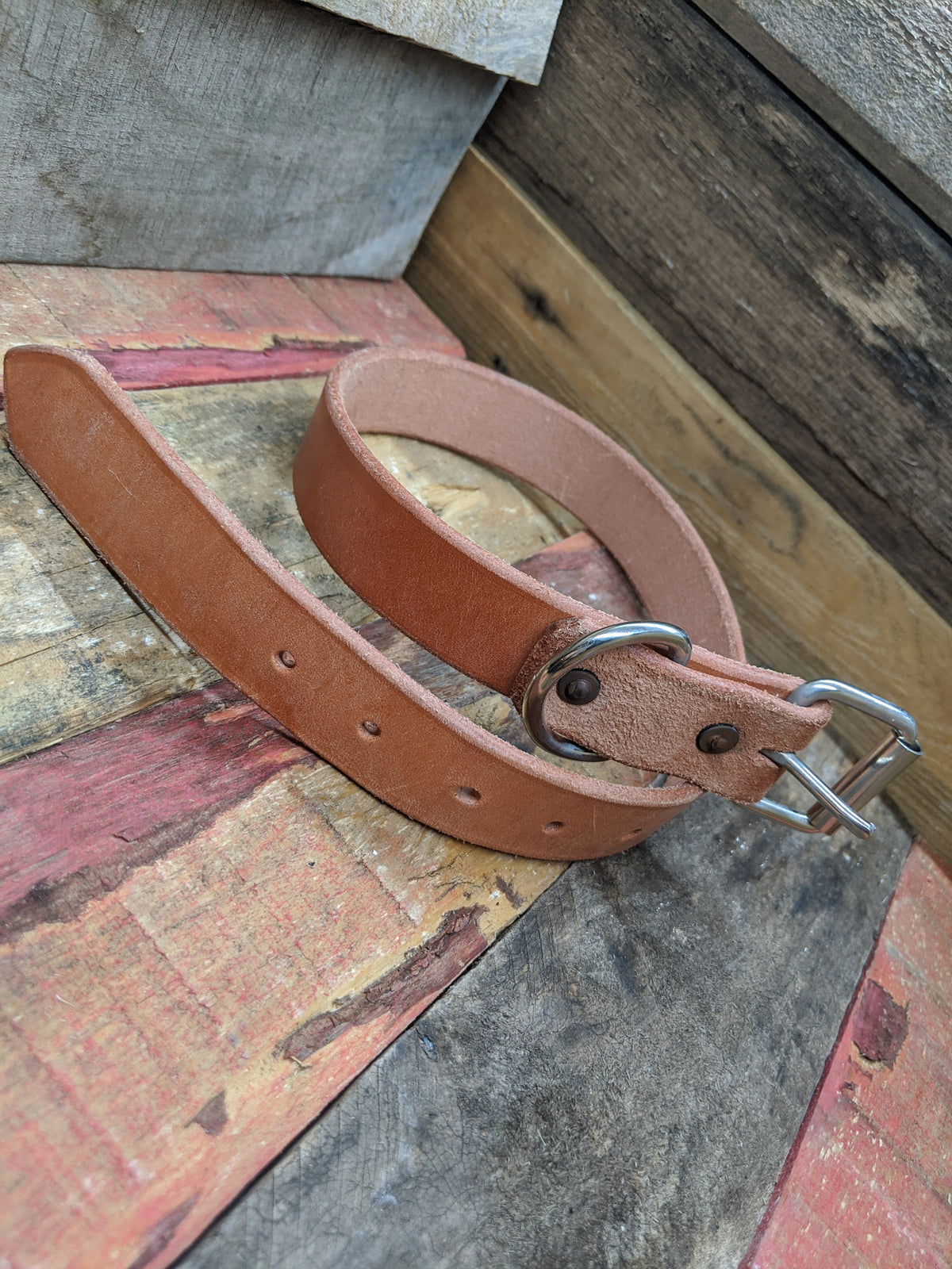 Leather dog collar, dog collar, custom dog collar, heavy duty dog collar, training collar, hunting dog collar, tough dog collar, made in USA