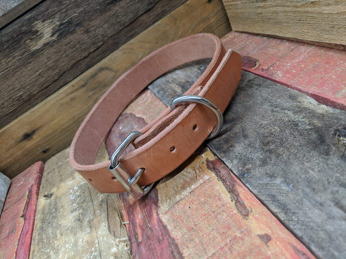 Leather dog collar, dog collar, custom dog collar, heavy duty dog collar, training collar, hunting dog collar, tough dog collar, made in USA